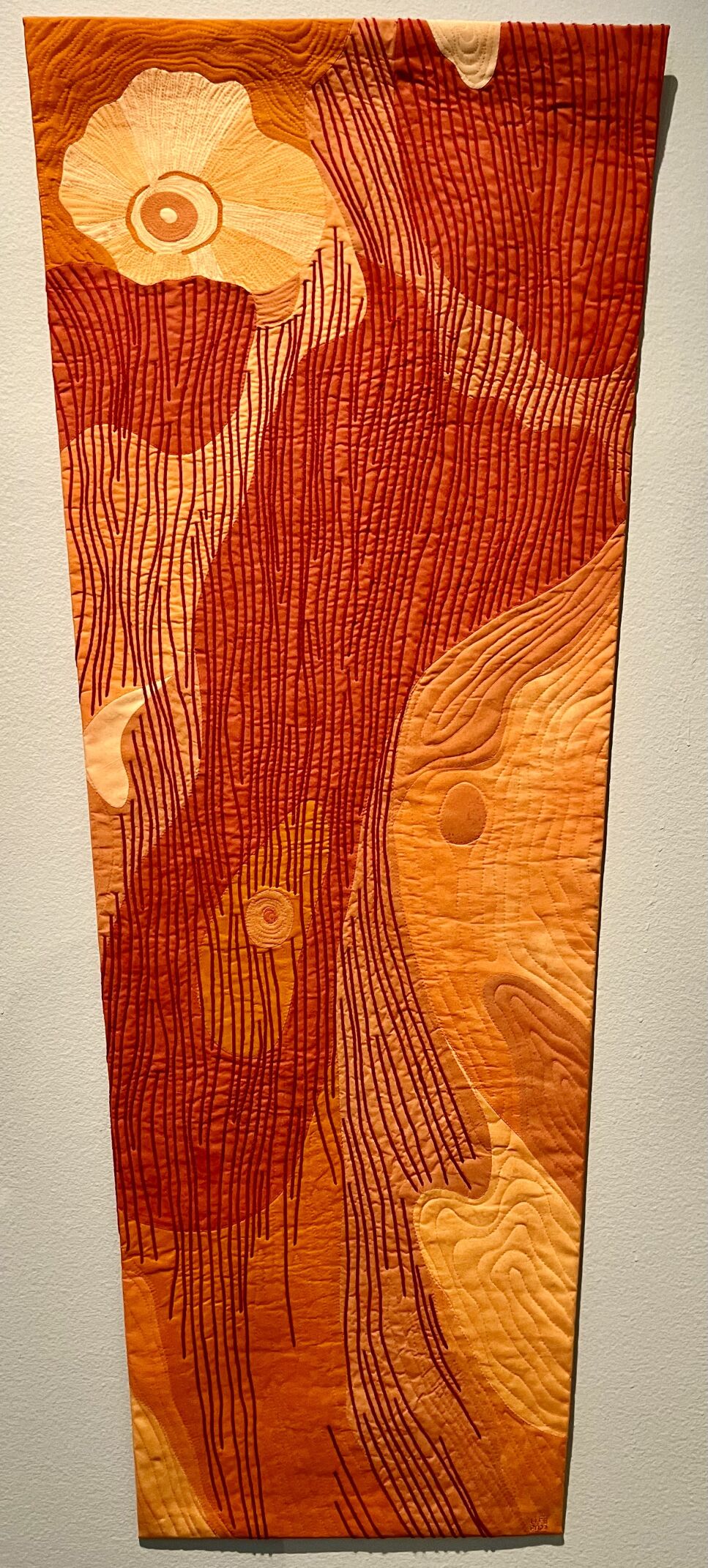 fierce planets 49